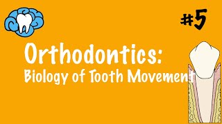 Orthodontics | Biology of Tooth Movement | NBDE Part II