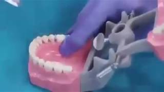 Online Fixed Orthodontics courses