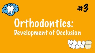 Orthodontics | Development of Occlusion | NBDE Part II