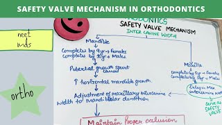 safety valve mechanism in orthodontics