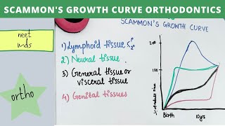 scammon's growth curve orthodontics