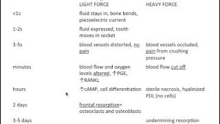 Orthodontic Tooth Movement- Biomechanics- Magnitude